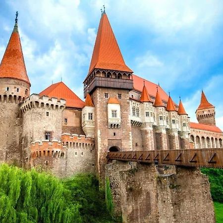 Very Good Location Hunedoara Buitenkant foto
